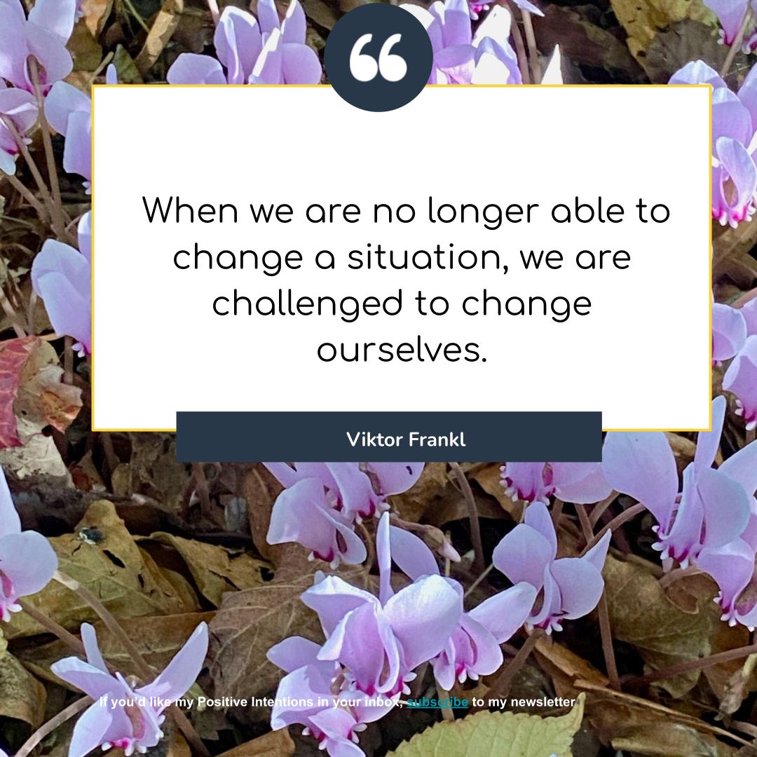 Photo of cluster of delicate lilac coloured flowers growing in brown leaves. Viktor Frankl quote on changing ourselves if we can't change our situation superimposed