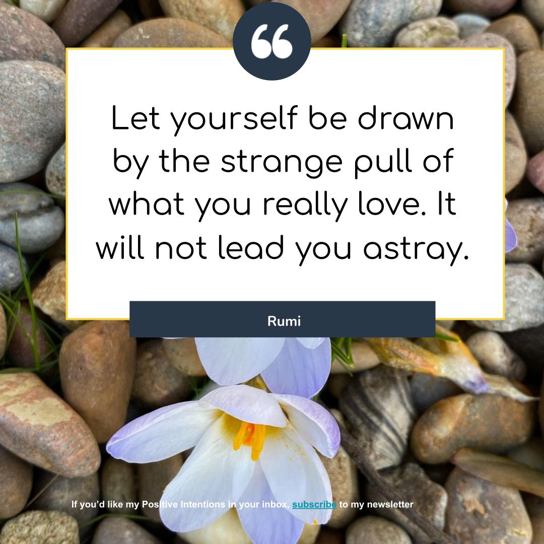 Rumi quote about following what you love. Superimposed on photo of delicate spring flower growing in pebbles.