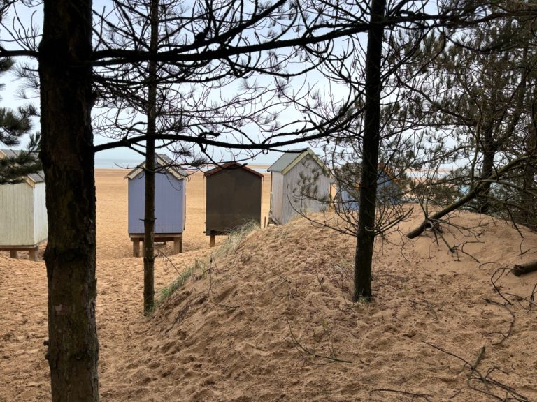 Alec Grimsley – Vital Conversations