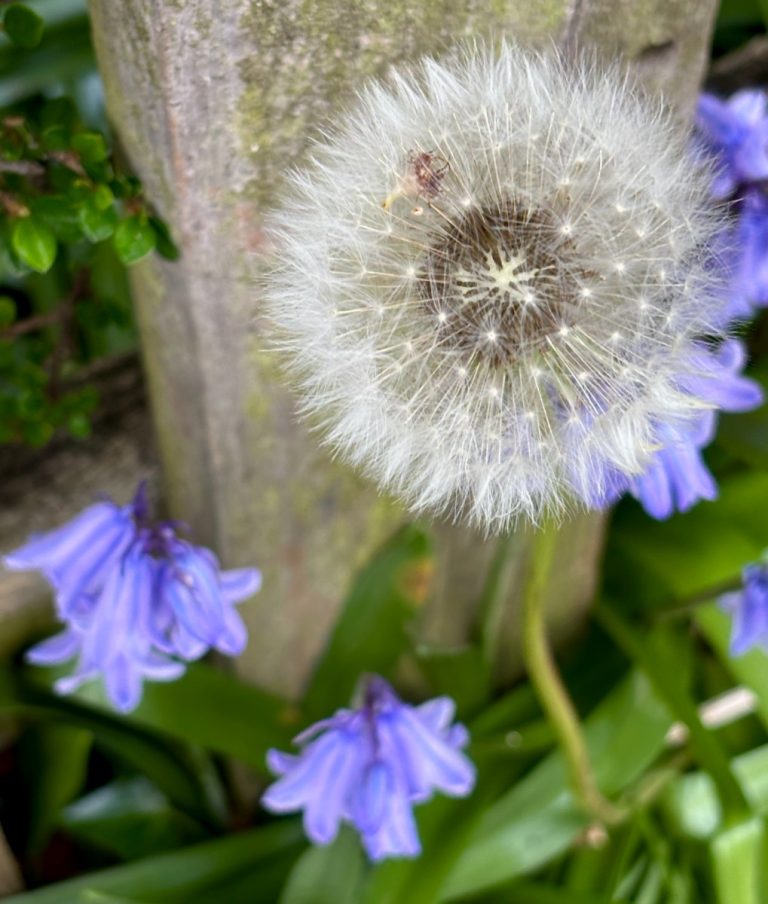 Act Like a Leader, Think Like a Leader – reflections on Herminia Ibarra’s new book