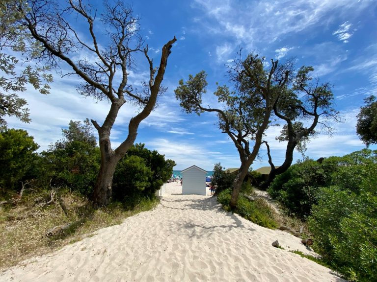 The summer break: time to press pause