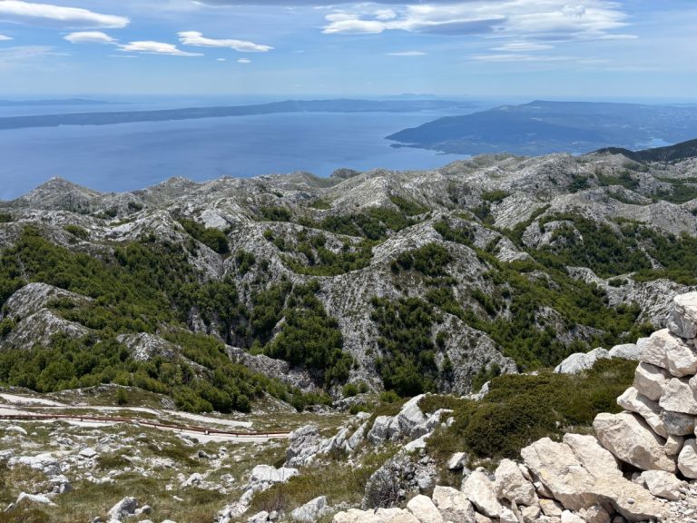 Jenny Rogers, Coaching Skills – Review